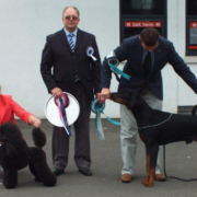 Best In Show [Utility Group Winner] - Vanazzen Mini Viva JW (Miniature Poodle) Res. Best In Show [Working Group Winner] - Dronski's Amadeus JW (Dobermann) with Judge Mr. Keith Baldwin