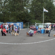 A general view of Best In Show judging