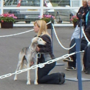 Hound Group Winner - Ruweis Thamiin (Saluki)