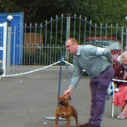 Terrier Group Winner - Jolihem Himself SH CM (Staffordshire Bull Terrier)