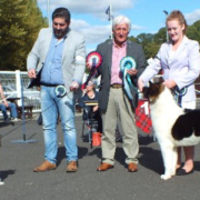 Best in Show [Toy Group Winner] - Habiba Go Forth (Chinese Crested) Reserve Best in Show [Utility Group Winner] - Zorbaloo Howlin Wolf (Akita) with Judge Mr. J. Falconer (Scarista)